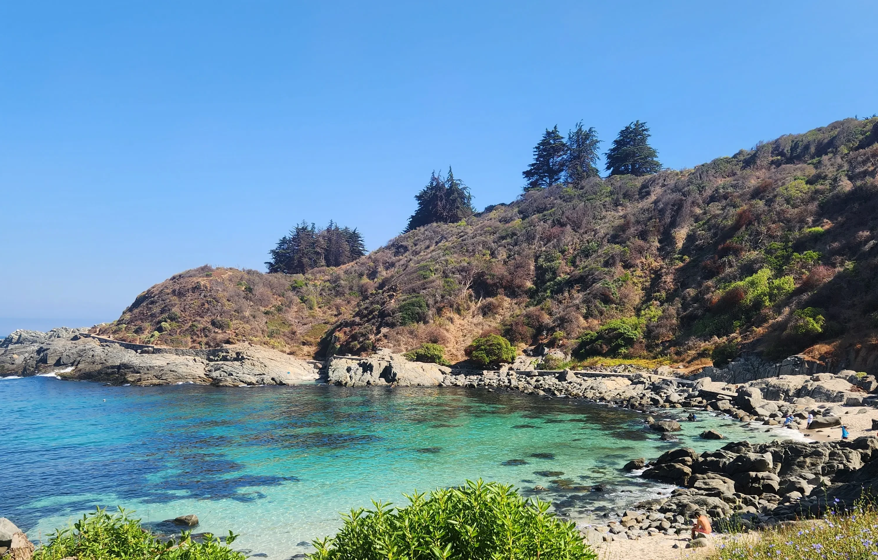Playa de Cachagua